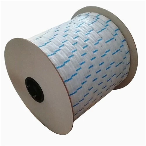 Bandes déshydratantes de gel de silice 1 gramme